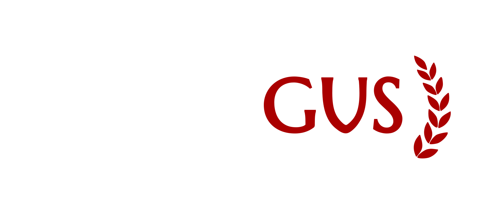 Codigus
